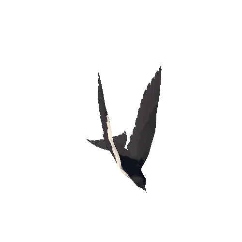 Low Poly Swallow 02 Variant